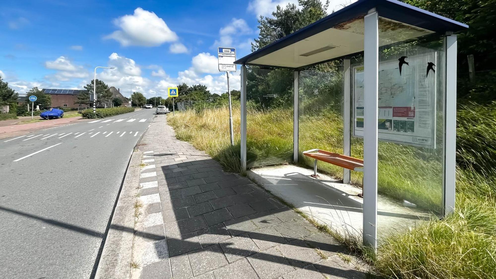 Duinzicht By Droomvilla Schoorl Eksteriør billede